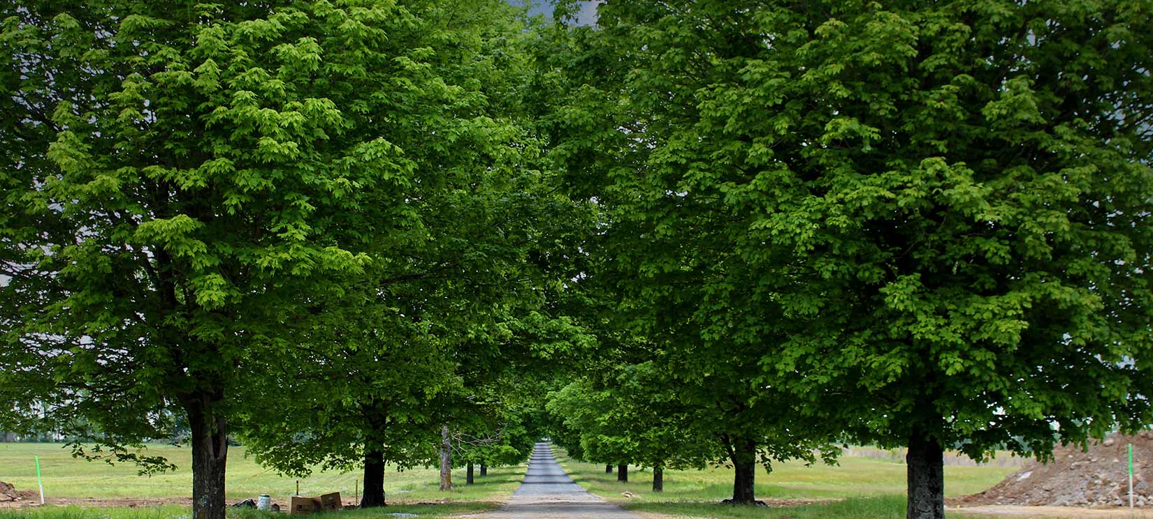 Future Multi-Modal Trail Section Through Freedom Village Nexus Tennessee.jpg